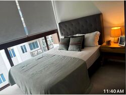 Noma (D14), Apartment #562221161